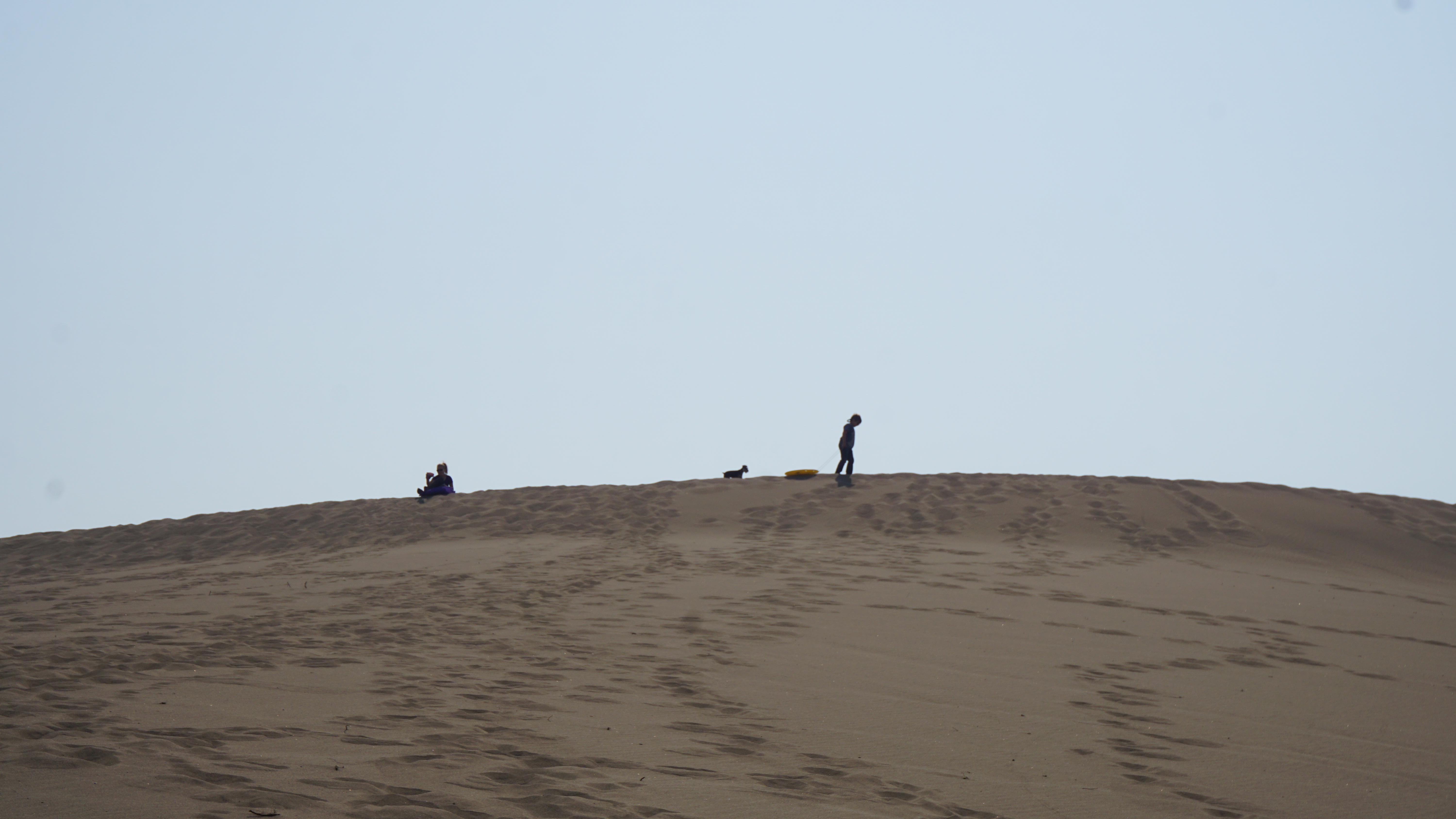 BruneauDunes11