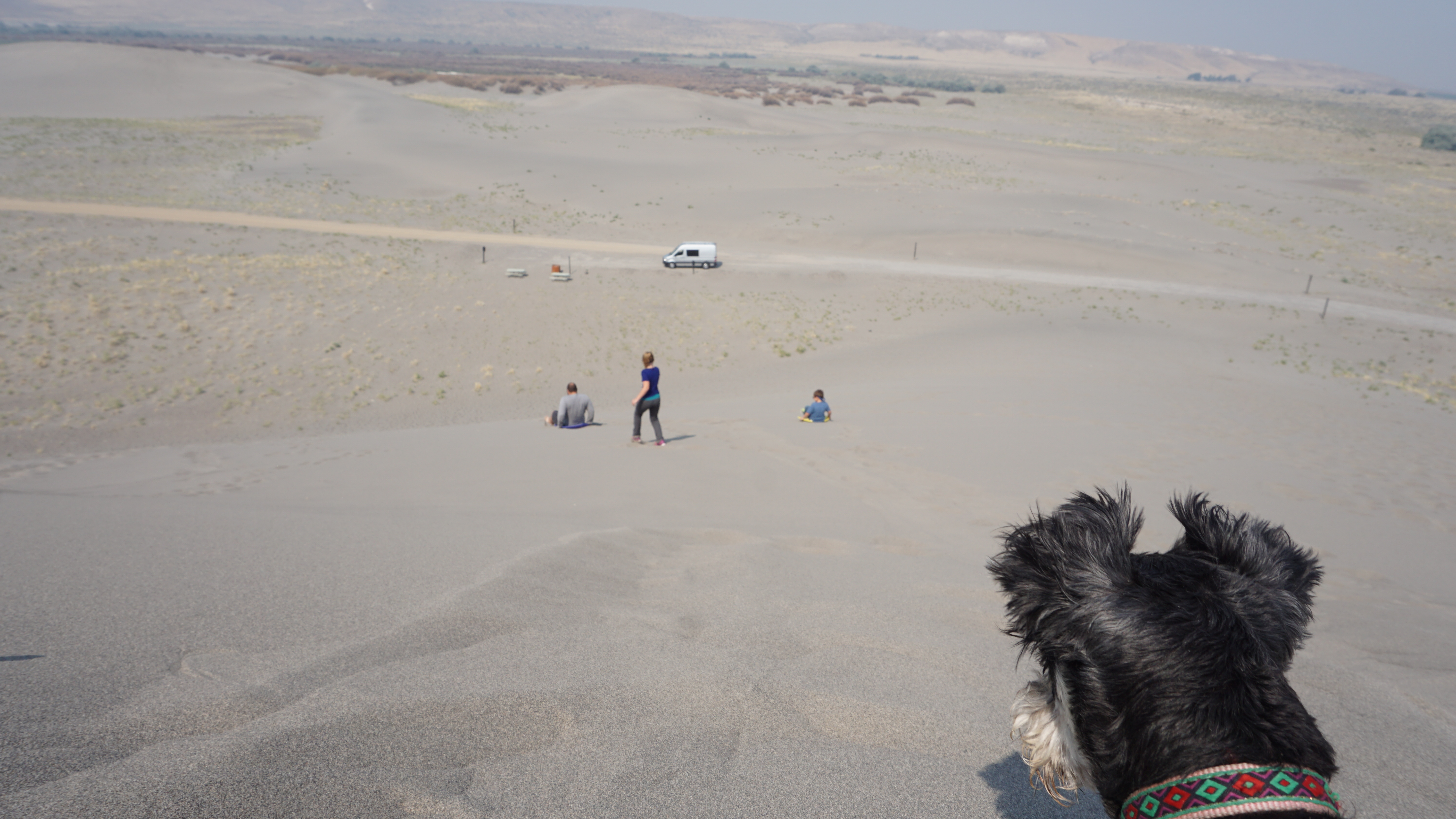 BruneauDunes14