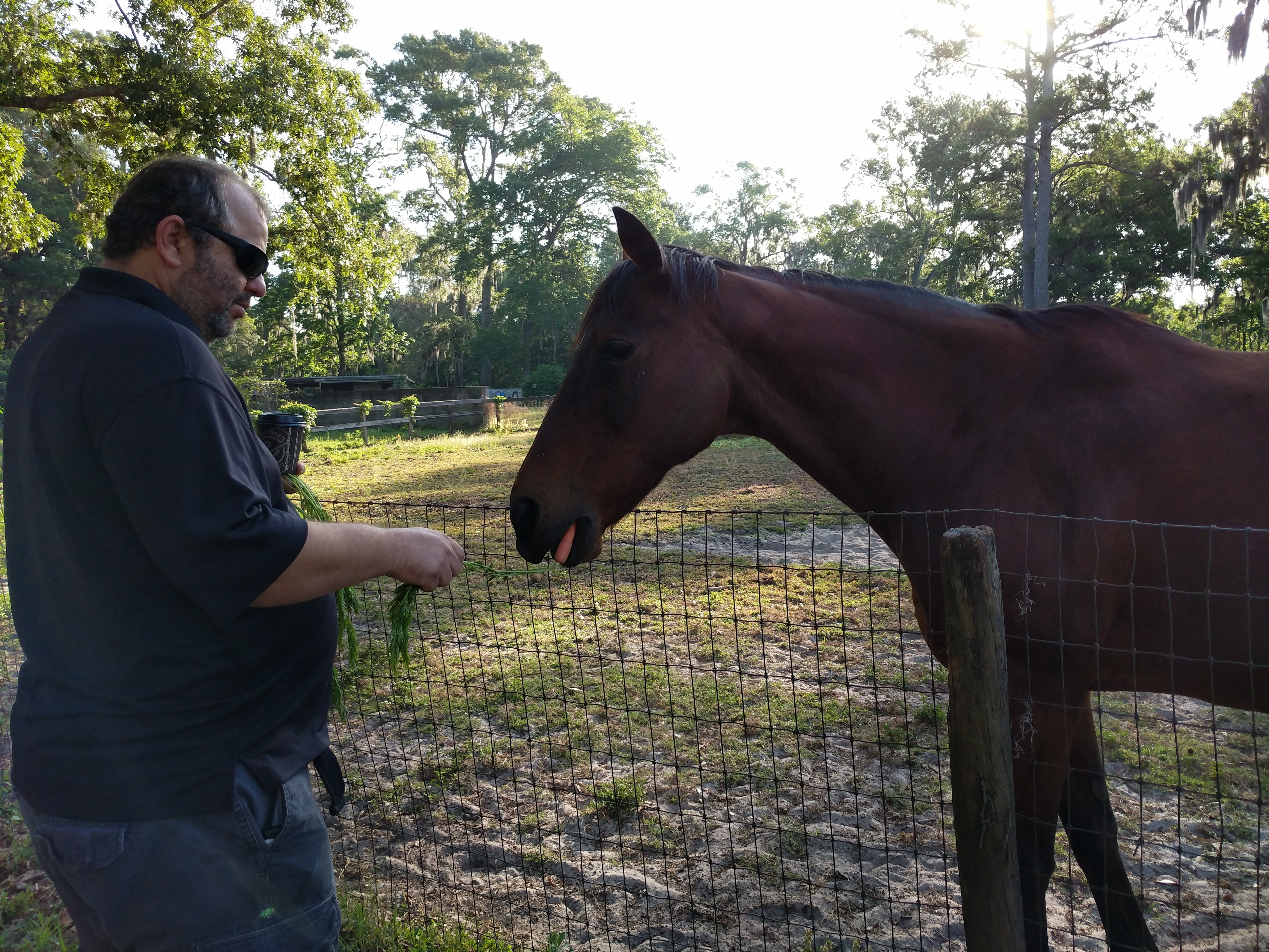 chad&amp;horse