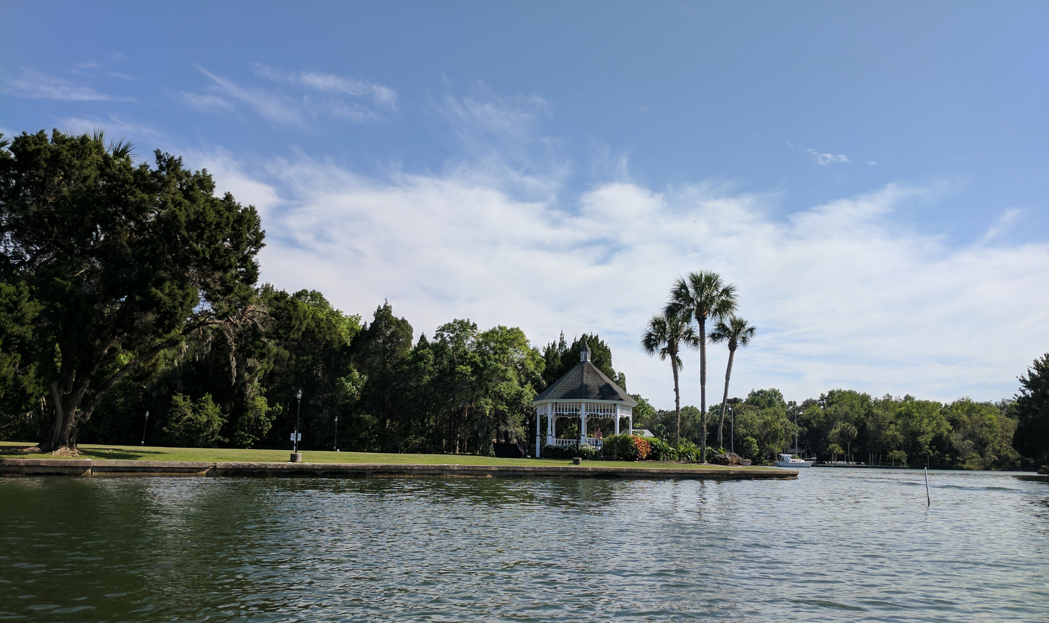 manatee2