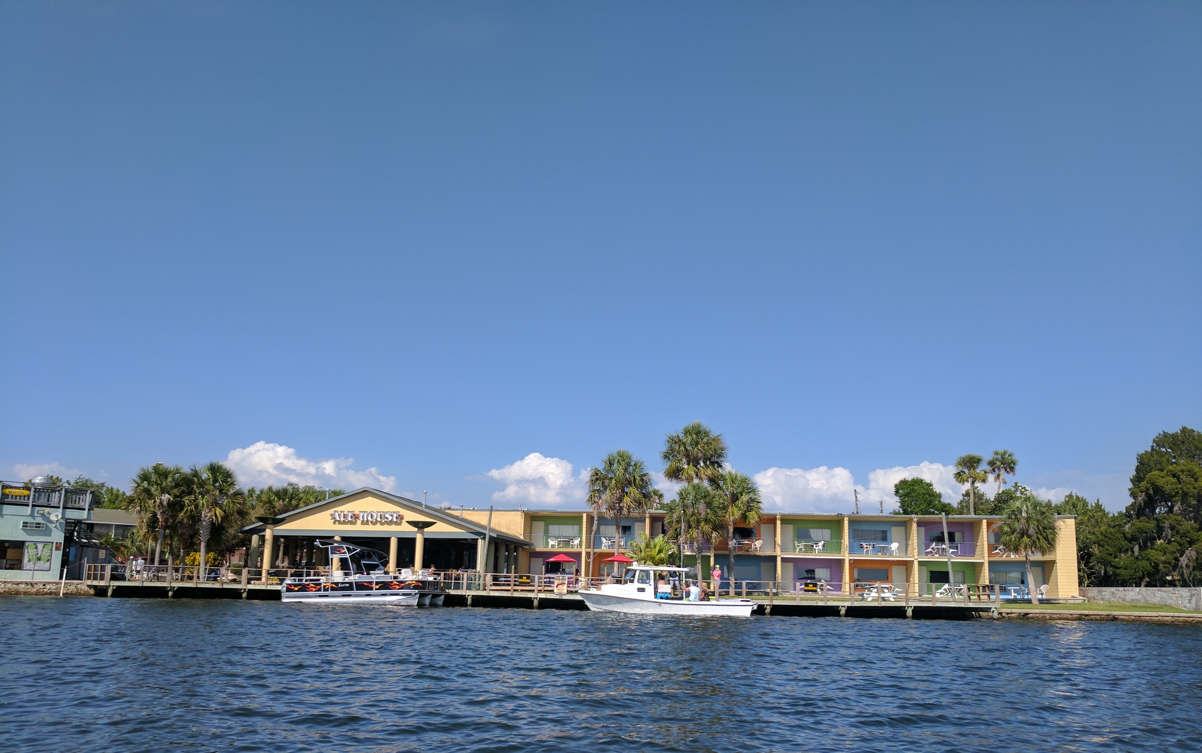 manatee3